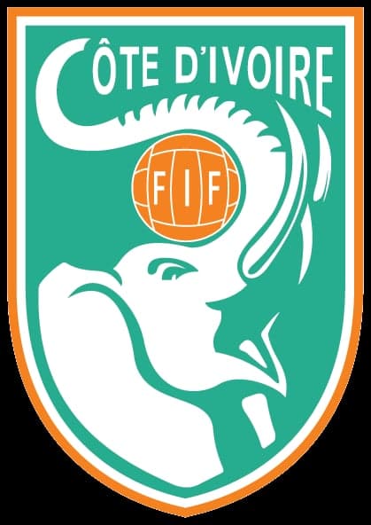 The Ivory Coast national football team in orange jerseys celebrating on the pitch