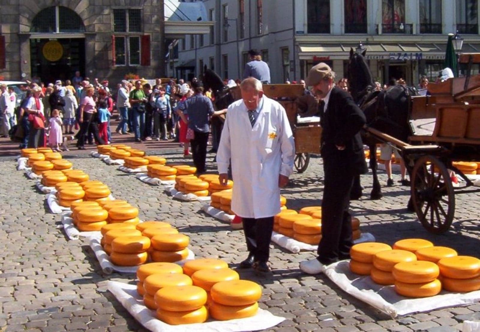 Cheese porters in white outfits carrying wheels of Dutch cheese on wooden barrows