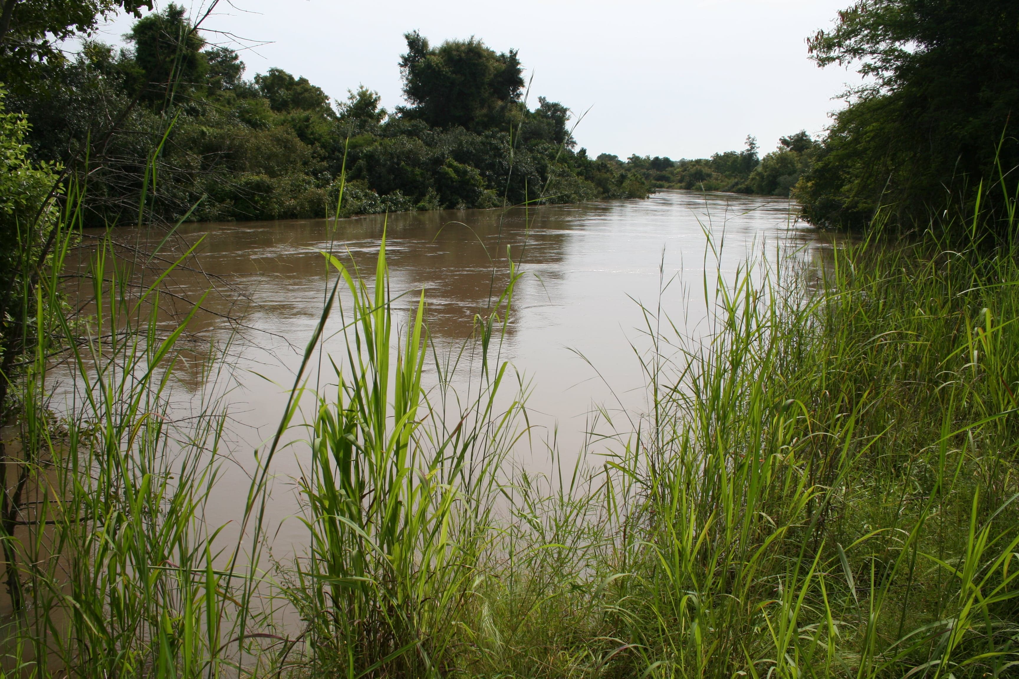 Savanna landscape of W National Park with trees and wildlife