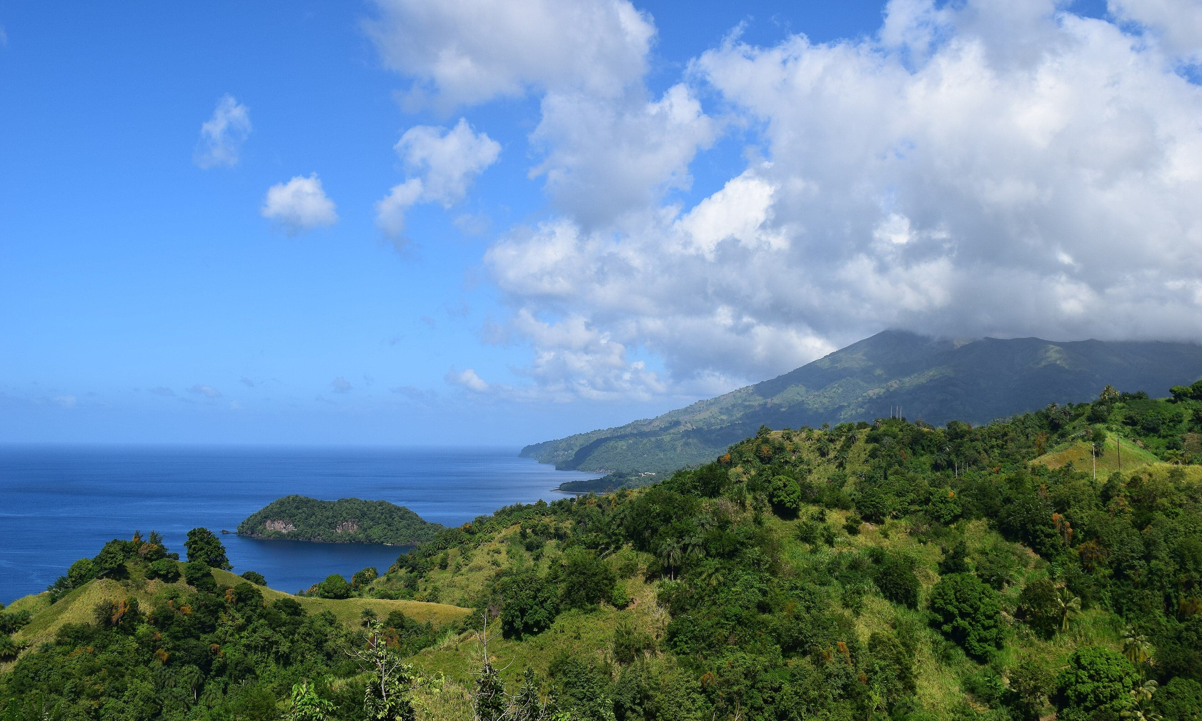The green slopes of La Soufrière volcano rising above tropical forest