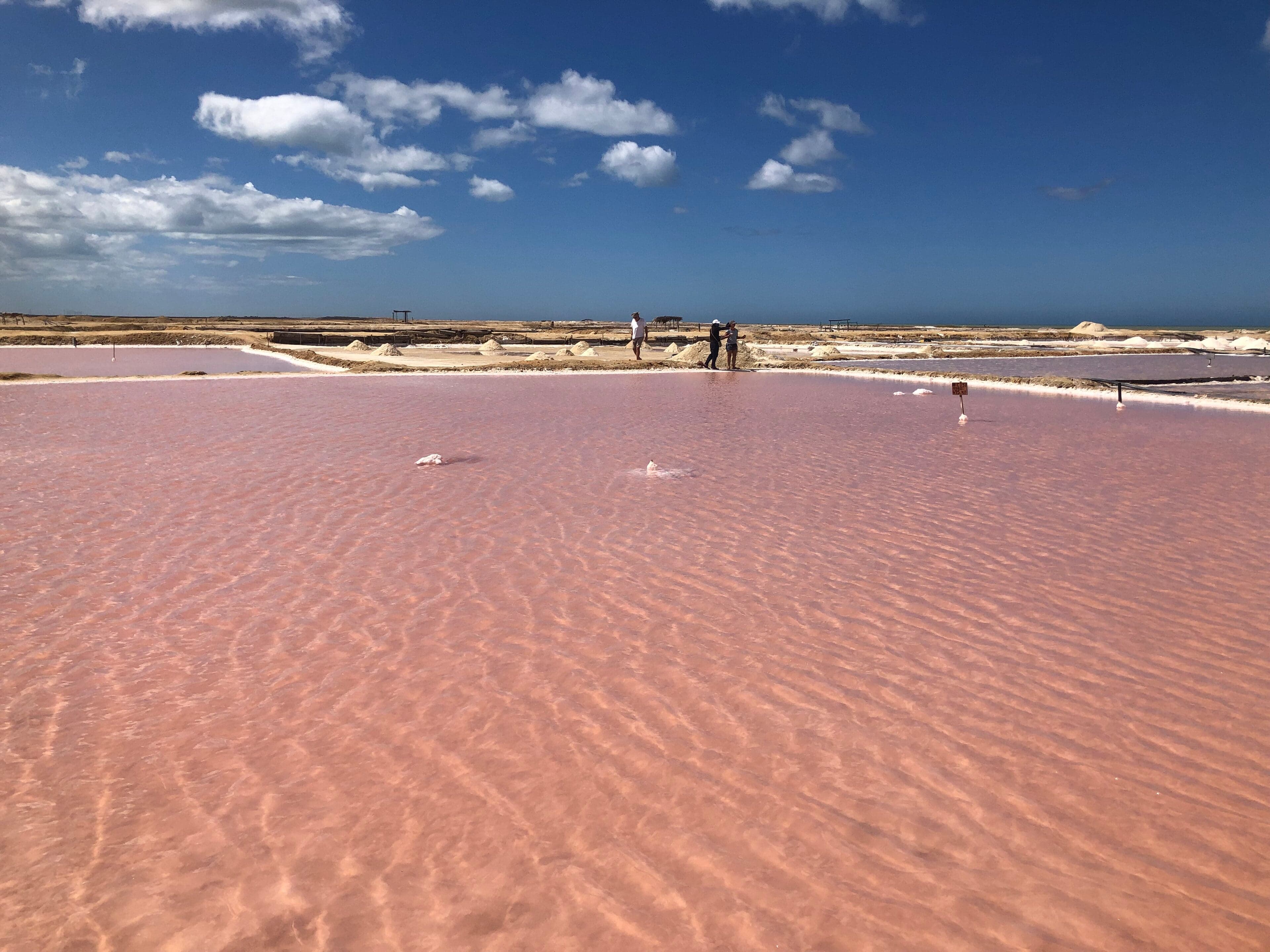 Shallow rectangular salt ponds at the Piran salt pans with sea behind