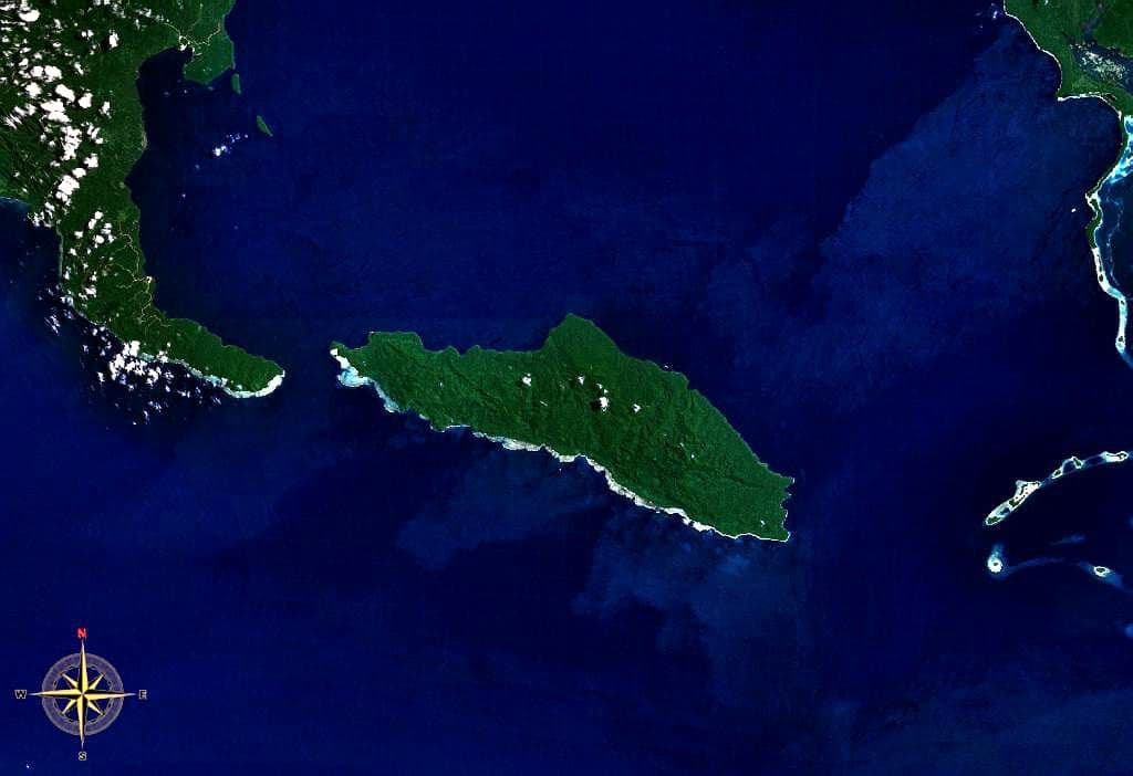 Dense rainforest covering the shores of Tetepare Island