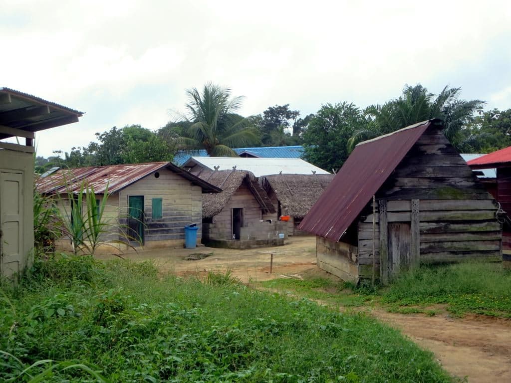 Colourfully painted wooden houses in a Maroon village on a Suriname river bank