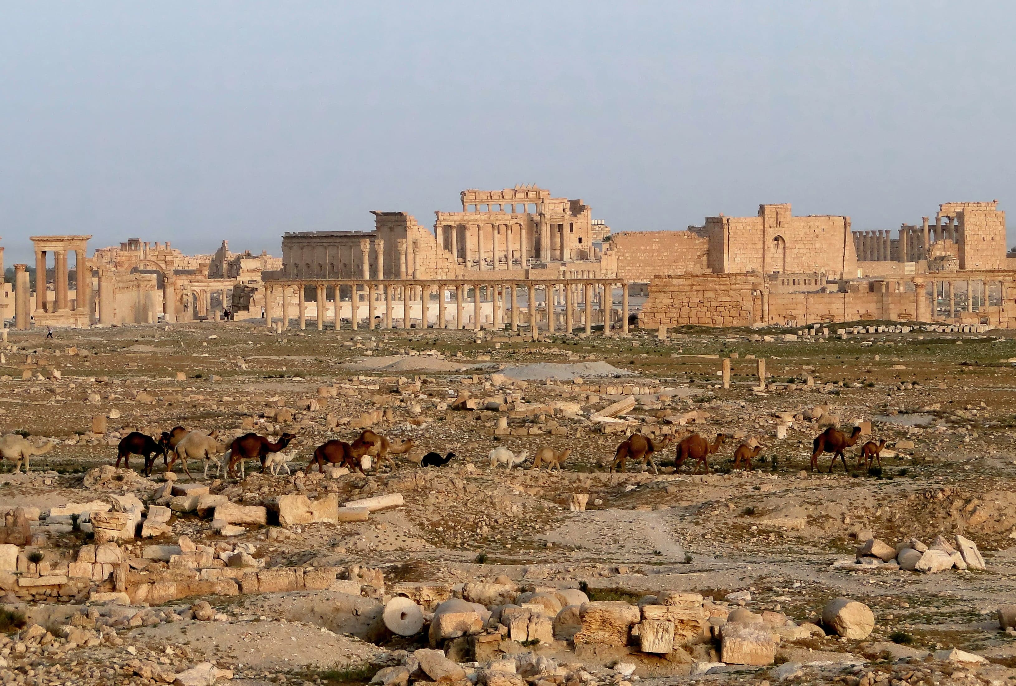 Tall ancient stone columns rising from the Syrian desert at sunset