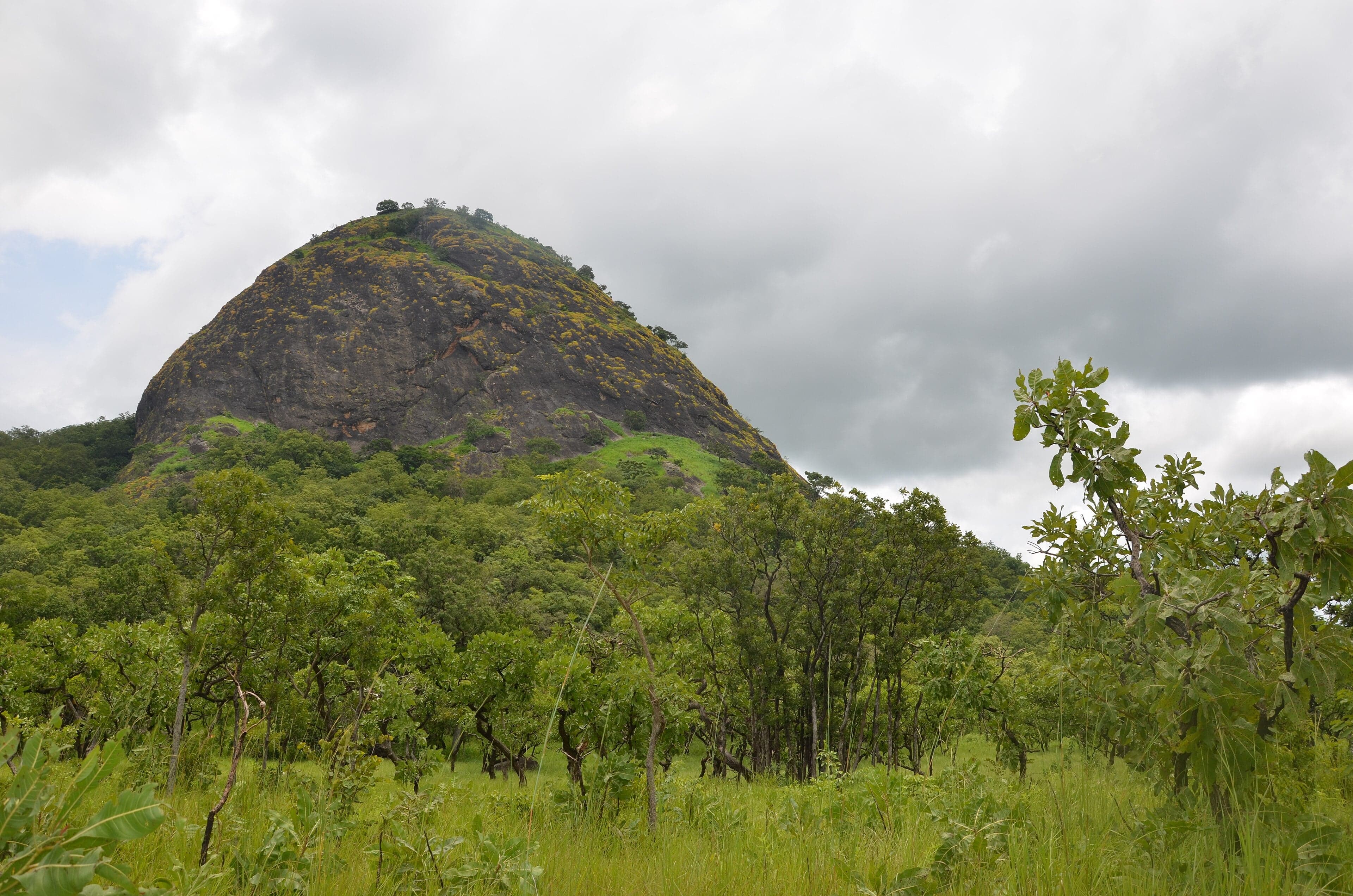 Green savannah and forested hills inside Fazao-Malfakassa National Park